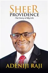 Book cover of Sheer Providence by Unknown