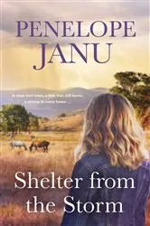 Book cover of Shelter from the Storm by Lori Foster