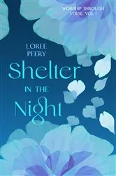 Book cover of Shelter in the Night by LoRee Peery