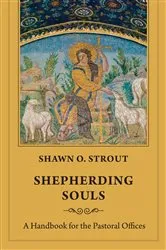 Book cover of Shepherding Souls by Shawn O. Strout