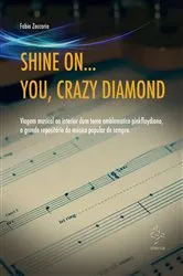 Book cover of Shine on... You, Crazy Diamond by ZACCARIA FABIO