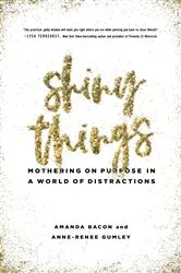 Book cover of Shiny Things by Leonard Diepeveen