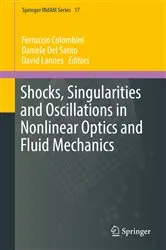 Book cover of Shocks, Singularities and Oscillations in Nonlinear Optics and Fluid Mechanics by Unknown