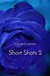 Book cover of Short Shots 2 by Candice James