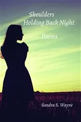 Book cover of Shoulders Holding Back Night by Unknown