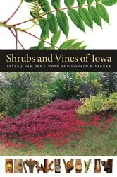 Book cover of Shrubs and Vines of Iowa by Peter J. van der Linden