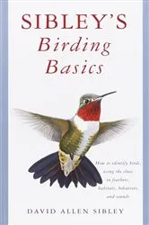 Book cover of Sibley's Birding Basics by David Allen Sibley