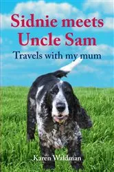 Book cover of Sidnie meets Uncle Sam by Karen Waldman
