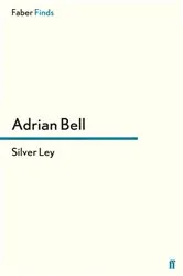 Book cover of Silver Ley by Unknown