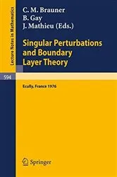 Book cover of Singular Perturbations and Boundary Layer Theory by Unknown