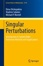 Book cover of Singular Perturbations by Elena Shchepakina