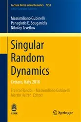 Book cover of Singular Random Dynamics by Unknown