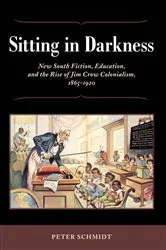 Book cover of Sitting in Darkness by Peter Schmidt