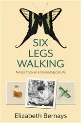 Book cover of Six Legs Walking by Elizabeth Bernays