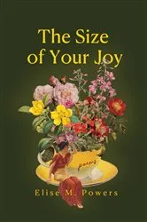 Book cover of Size of Your Joy by Elise Powers