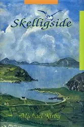 Book cover of Skelligside by Michael Kirby