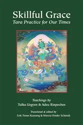 Book cover of Skillful Grace (4th ed.) by Chokgyur Lingpa