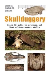 Book cover of Skullduggery by Unknown