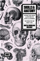 Book cover of Skulls & Anatomy by James Kale
