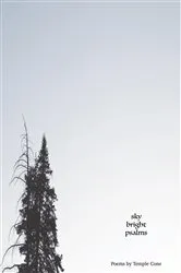 Book cover of sky bright psalms by Temple Cone