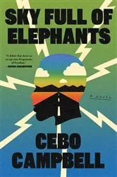 Book cover of Sky Full of Elephants by Cebo Campbell