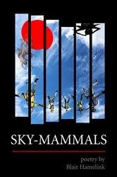 Book cover of Sky-Mammals by Blair Hamelink