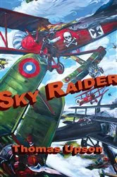 Book cover of Sky Raider by Unknown
