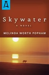 Book cover of Skywater by Unknown