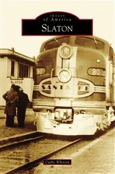 Book cover of Slaton by Unknown