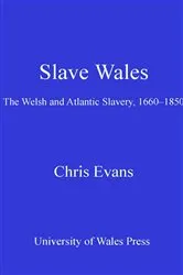 Book cover of Slave Wales by Chris Evans