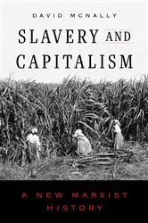 Book cover of Slavery and Capitalism by David McNally