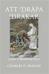 Book cover of Slaying Dragons/Att Dräpa Drakar by Charles D Fraune