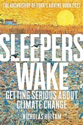 Book cover of Sleepers Wake by Holtam Nicholas