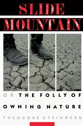 Book cover of Slide Mountain by Theodore Steinberg