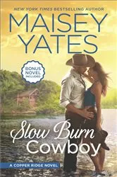 Book cover of Slow Burn Cowboy by Maisey Yates