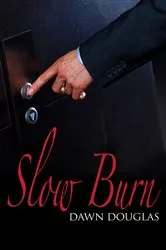 Book cover of Slow Burn by Cherry Adair