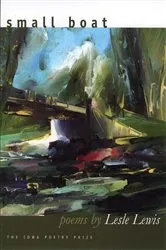 Book cover of Small Boat by Lesle Lewis