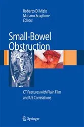 Book cover of Small-Bowel Obstruction by Roberto Di Mizio