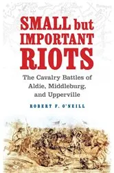 Book cover of Small but Important Riots by Robert F. O'Neill