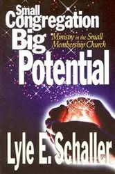 Book cover of Small Congregation, Big Potential by Lyle E Schaller