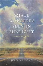 Book cover of Small Disasters Seen in Sunlight by Julia B. Levine
