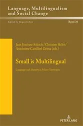 Book cover of Small is Multilingual by Jürgen Erfurt