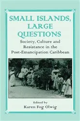 Book cover of Small Islands, Large Questions by Karen Fog Olwig