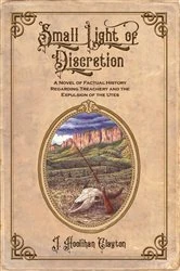Book cover of Small Light Of Discretion by J Hoolihan Clayton