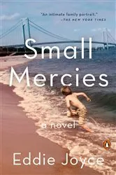 Book cover of Small Mercies by Alex Walters