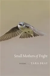 Book cover of Small Mothers of Fright by Tara Bray