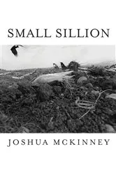 Book cover of Small Sillion by Joshua McKinney