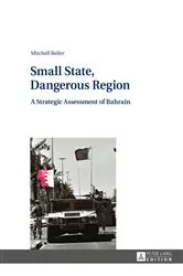 Book cover of Small State, Dangerous Region by Mitchell Belfer