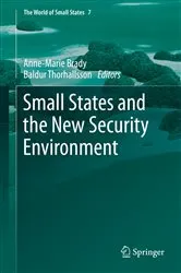 Book cover of Small States and the New Security Environment by Unknown