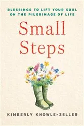 Book cover of Small Steps by Julie Sprigg